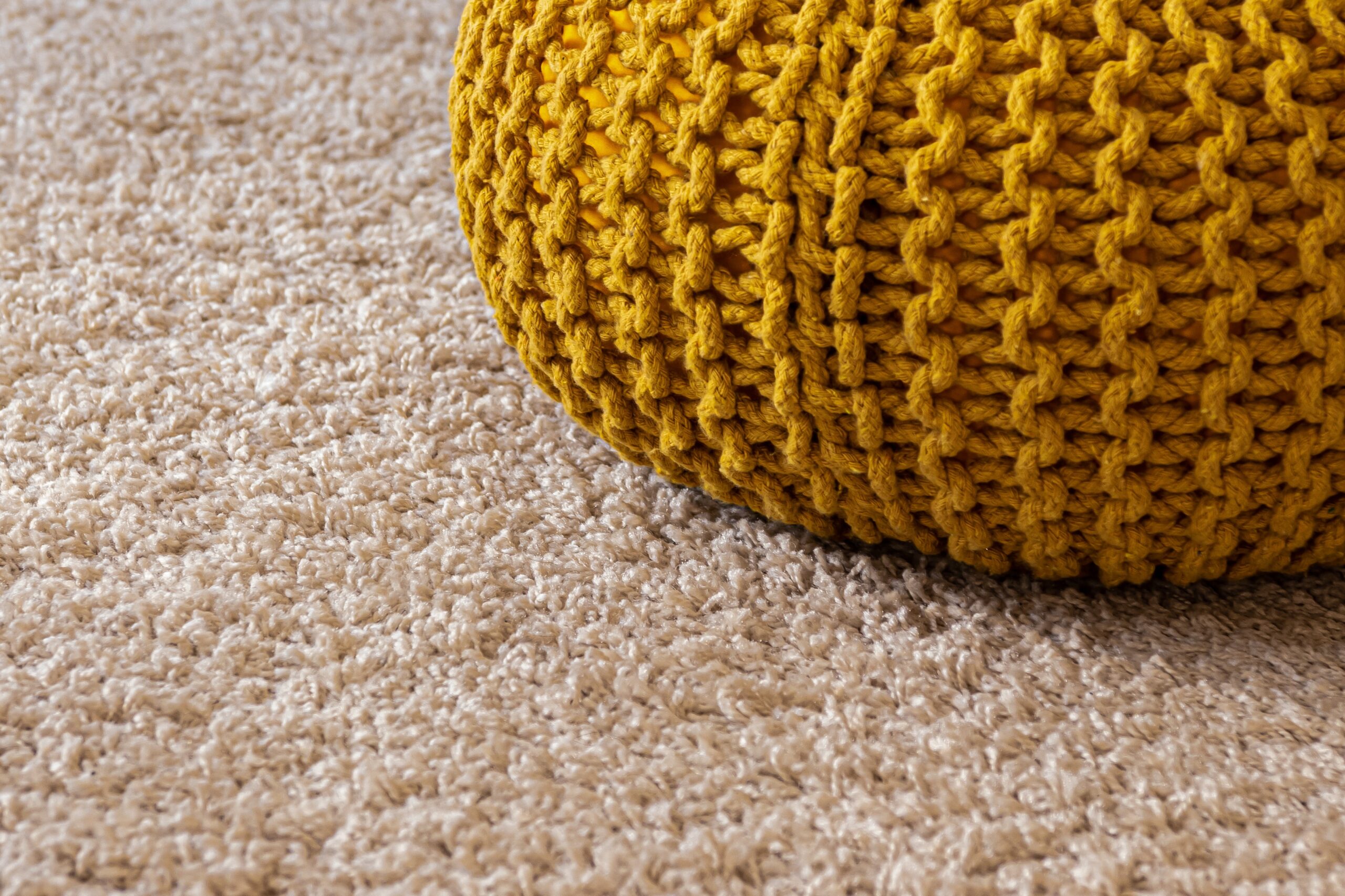 Carpet Cleaning 101: How the Best Cleaning Companies Do It