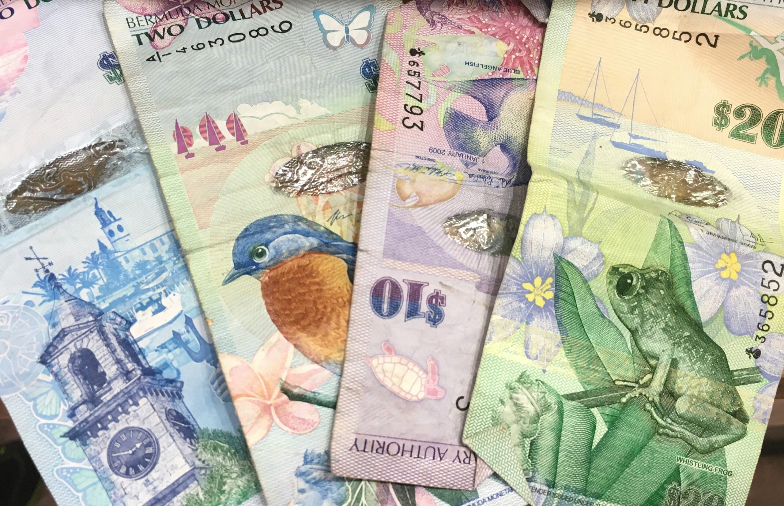 What Is A Term Loan?